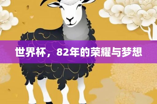 世界杯，82年的荣耀与梦眉山市正发家政服务有限公司想