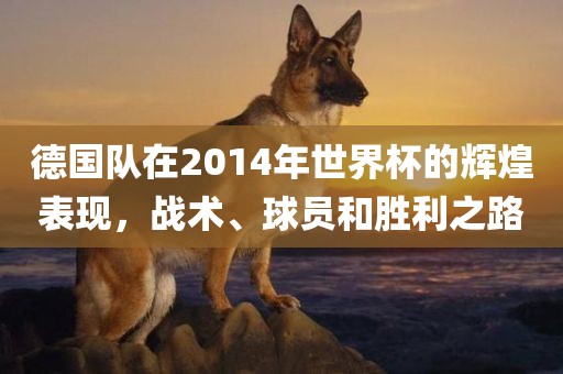 德国队在2014年世界杯的辉煌表现，战术、球员和胜利之路眉山市正发家政服务有限公司