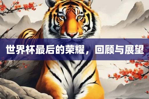 世界杯最后的荣耀，回顾与展望