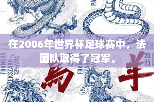 在2006年世界杯足球赛中，法国队取得了冠军。