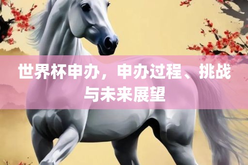 世界杯申办，申办过程、挑战与未来展望