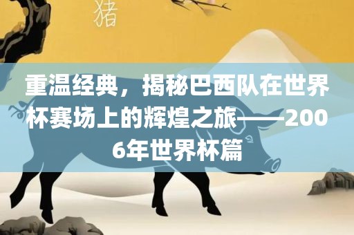 重温经典，揭秘巴西队在世界杯赛场上的辉煌之旅——2006年世界杯篇