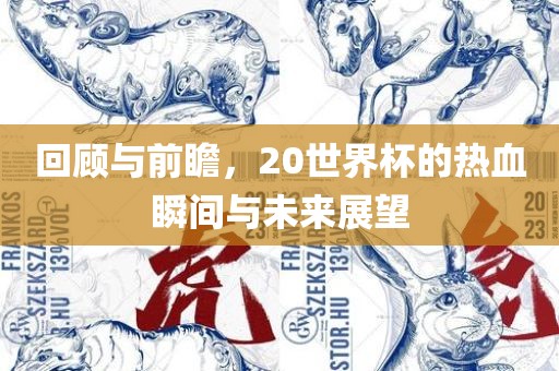 回顾与前瞻，20世界杯的热血瞬间与未来展望眉山市正发家政服务有限公司