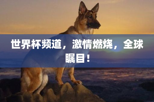 世界杯频道，激情燃烧，全球瞩目！眉山市正发家政服务有限公司