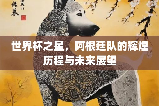 世界杯之星，阿根廷队的辉煌历程与未来展望