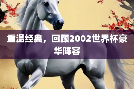 重温经典，回顾2002世界杯豪华阵容