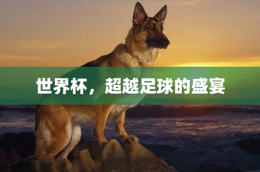 世界杯，眉山市正发家政服务有限公司超越足球的盛宴