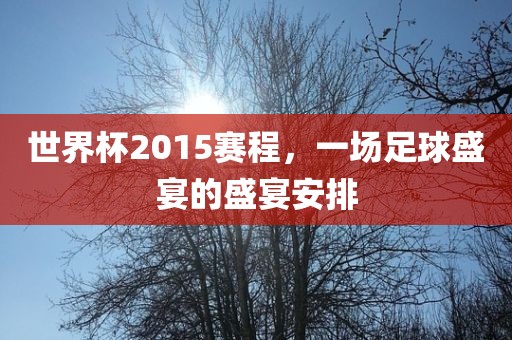 世界杯2015赛程，一场足球眉山市正发家政服务有限公司盛宴的盛宴安排