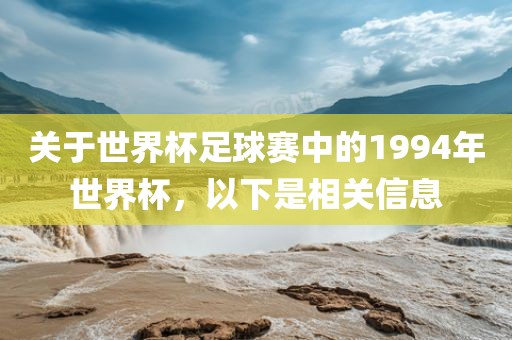 关于世界杯足球赛中的1994年世界杯，以下眉山市正发家政服务有限公司是相关信息