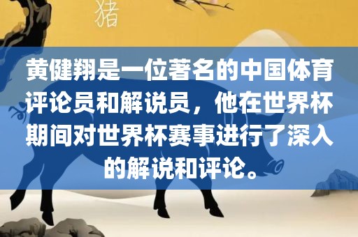 黄健翔是一位著名的中国体育评论员和解说员，他在世界杯期间对世界杯赛事进行了深入的解说和评论。