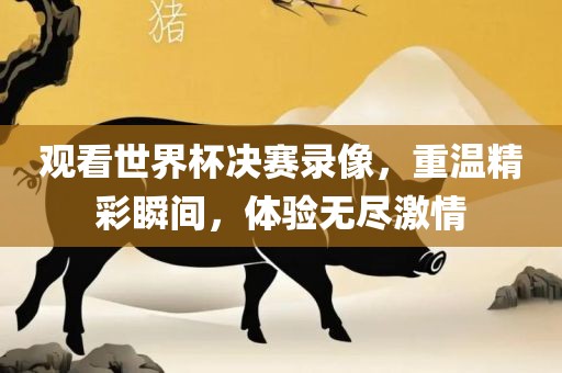 观看世界杯决赛录像，重温精彩瞬间，体验无尽激情眉山市正发家政服务有限公司