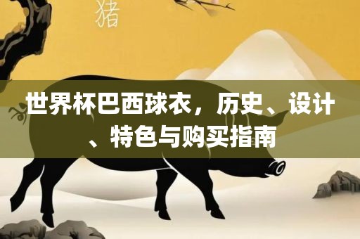 世界杯巴西球衣，历史、设计、特色与购买指南眉山市正发家政服务有限公司