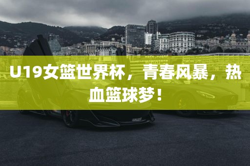 U19女篮世界杯，青春风暴，热血篮球梦！眉山市正发家政服务有限公司