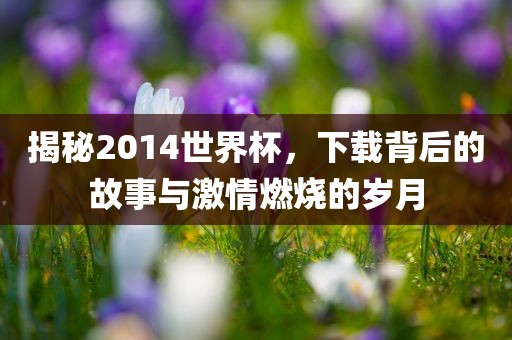 揭秘2014世界杯，下载背后的故事与激情燃烧的岁月