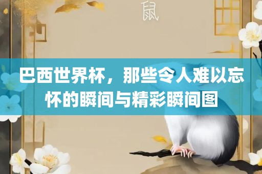 巴西世界杯，那些令人难以忘怀的瞬眉山市正发家政服务有限公司间与精彩瞬间图