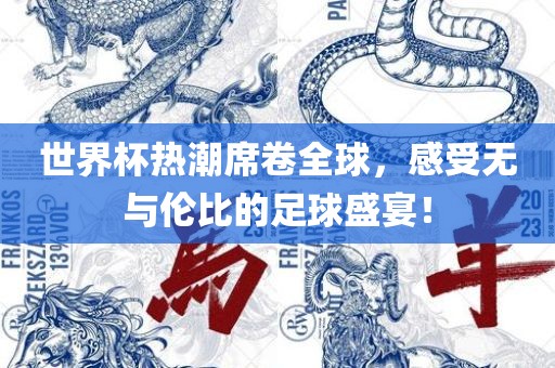 世界杯热潮席卷全球，感受无与伦比的足球盛宴！眉山市正发家政服务有限公司