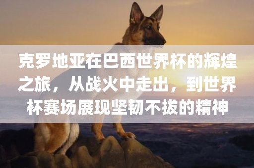 克罗地亚在巴西世界杯的辉煌之旅，从战火中走出，到世界杯赛场展现坚韧不拔的精神眉山市正发家政服务有限公司