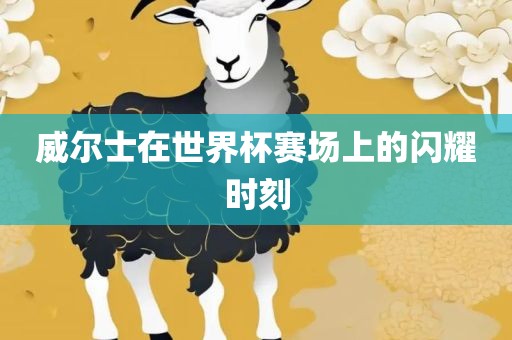 威尔士在眉山市正发家政服务有限公司世界杯赛场上的闪耀时刻