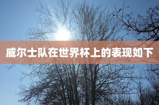 威尔士队在世界杯上的表现如下眉山市正发家政服务有限公司