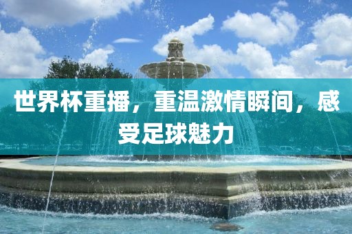 世界杯重播，重温激情瞬间，感受足球魅力眉山市正发家政服务有限公司