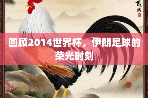 回顾眉山市正发家政服务有限公司2014世界杯，伊朗足球的荣光时刻