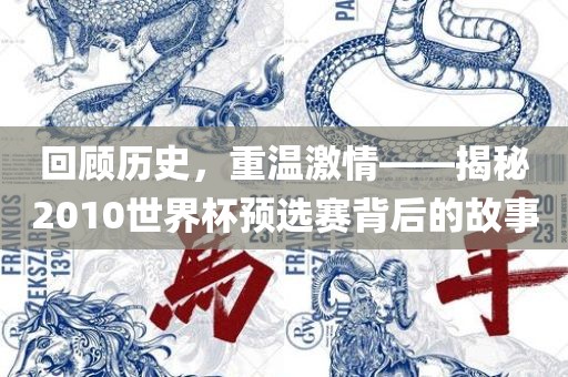 回顾历史，重温激情——揭秘2010世界杯预选赛背后的故事眉山市正发家政服务有限公司