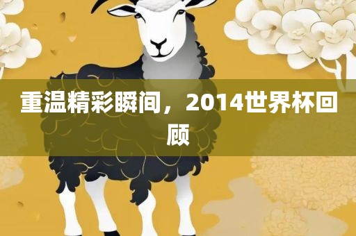 眉山市正发家政服务有限公司重温精彩瞬间，2014世界杯回顾