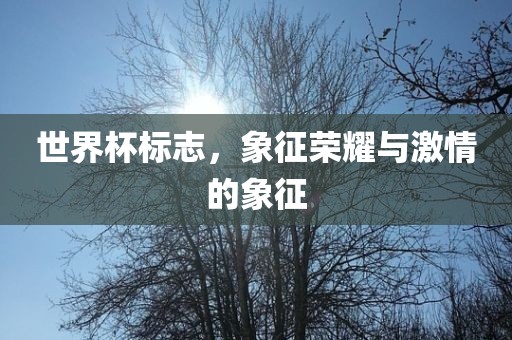 世界杯标志，象征荣耀与激情的象征