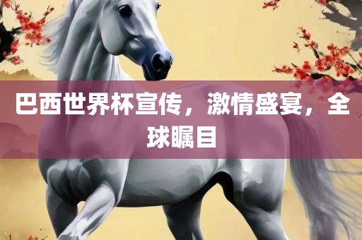 巴西世界杯宣传，激情盛宴，全球瞩目眉山市正发家政服务有限公司