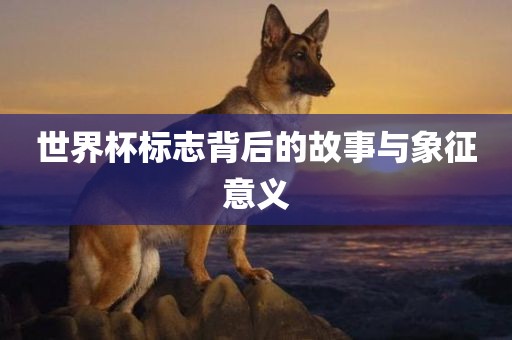 huangyanmin 第15页