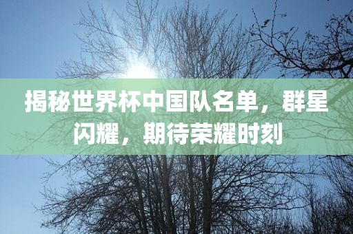揭秘世界杯中国队名单，群星闪耀，期待荣耀时刻眉山市正发家政服务有限公司
