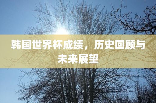 韩国世界杯成绩，历史回顾与未来展望眉山市正发家政服务有限公司