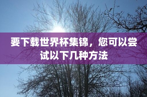 眉山市正发家政服务有限公司要下载世界杯集锦，您可以尝试以下几种方法