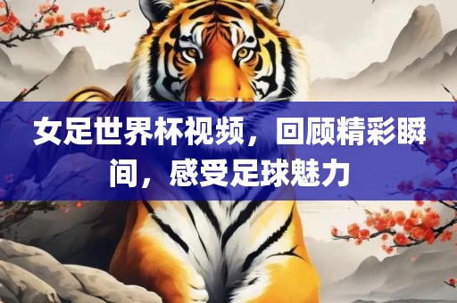 女足世界杯视频，回顾精彩瞬间，感受足球魅力