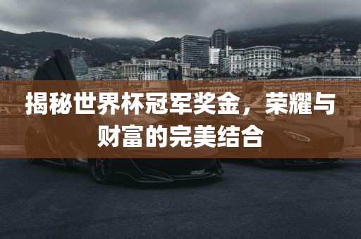 揭秘世界杯冠军奖金，荣耀眉山市正发家政服务有限公司与财富的完美结合