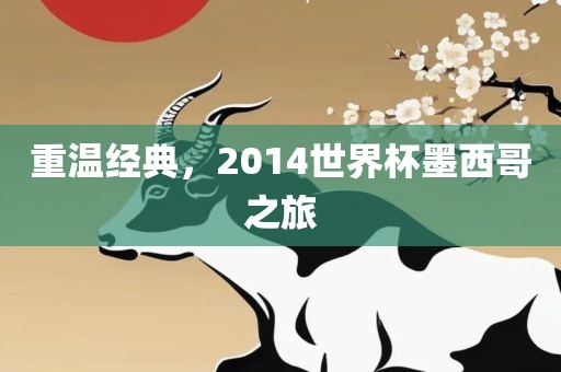 重温经典，2014世界杯墨西哥之旅眉山市正发家政服务有限公司