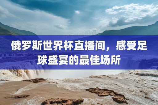 俄罗斯世界杯直播间，感受足球盛宴的最佳场所眉山市正发家政服务有限公司