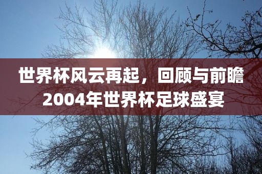 世界杯风云再起，回顾与前瞻 2004年世界杯足球盛宴