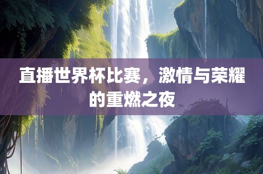 直播世界杯比赛，激情与荣耀的重燃之夜眉山市正发家政服务有限公司