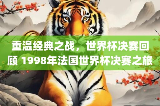 重温经典之战，眉山市正发家政服务有限公司世界杯决赛回顾 1998年法国世界杯决赛之旅