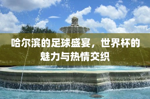 哈尔滨的足球盛宴，世界杯的魅力与热情交织眉山市正发家政服务有限公司