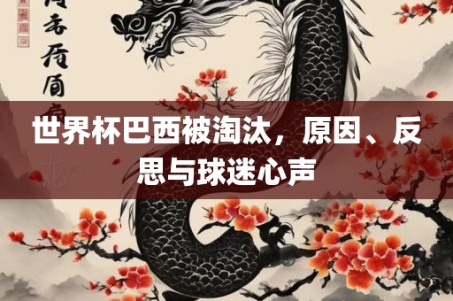 世界杯巴西被淘汰，原因、反思与球迷心声眉山市正发家政服务有限公司