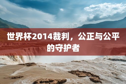 世界杯2014裁判，公正与公平的守护者眉山市正发家政服务有限公司