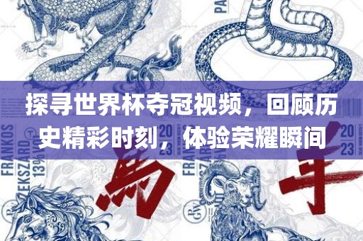 探寻世界杯夺冠视频，回顾历史精彩时刻，体验荣耀瞬间眉山市正发家政服务有限公司