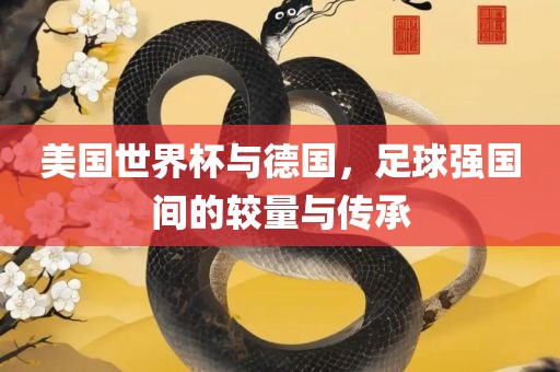 美国世界杯与德国，足球强国间的较量眉山市正发家政服务有限公司与传承