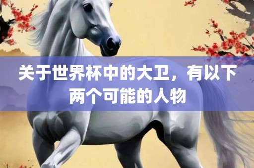 关于世界杯中的大卫，有以下两个可能的人物眉山市正发家政服务有限公司