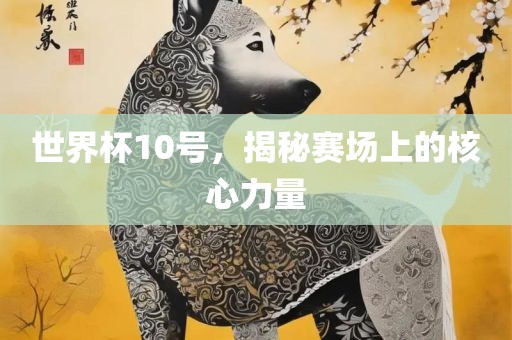 世界杯10号，揭秘赛场上的核心力量眉山市正发家政服务有限公司