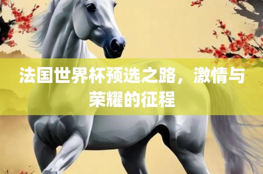 法国世界杯预选之路，激情眉山市正发家政服务有限公司与荣耀的征程