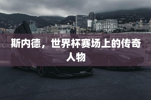 斯内德，世界杯赛场上的传奇人物眉山市正发家政服务有限公司