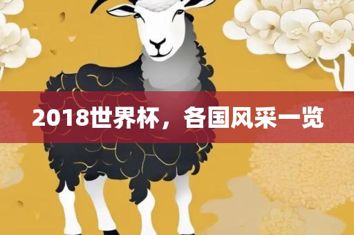 2018世界杯，各国风采一览